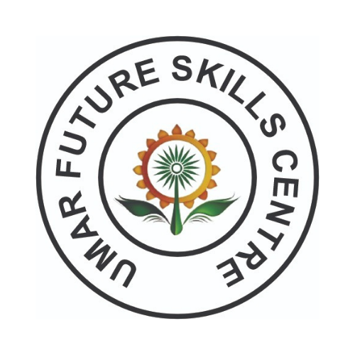 FUTURE VISION COMPUTERS